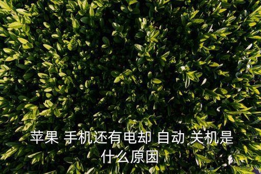  蘋果 手機(jī)還有電卻 自動 關(guān)機(jī)是什么原因