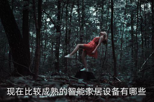 現(xiàn)在比較成熟的智能家居設(shè)備有哪些