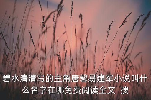 碧水清清寫的主角唐馨易建軍小說叫什么名字在哪免費閱讀全文  搜
