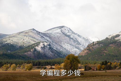 學(xué)編程多少錢