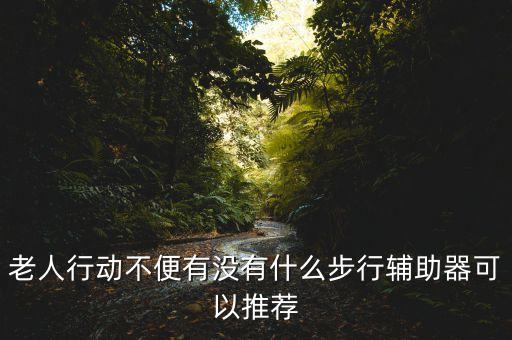 老人行動(dòng)不便有沒有什么步行輔助器可以推薦