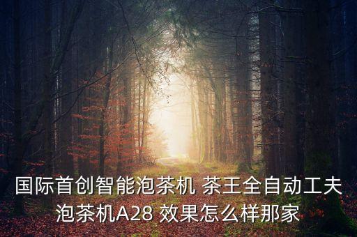 國(guó)際首創(chuàng)智能泡茶機(jī) 茶王全自動(dòng)工夫泡茶機(jī)A28 效果怎么樣那家