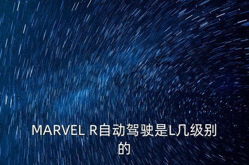 國(guó)內(nèi)特斯拉自動(dòng)駕駛級(jí)別，特斯拉全系車輛都將完全自動(dòng)駕駛技術(shù)夠格了嗎
