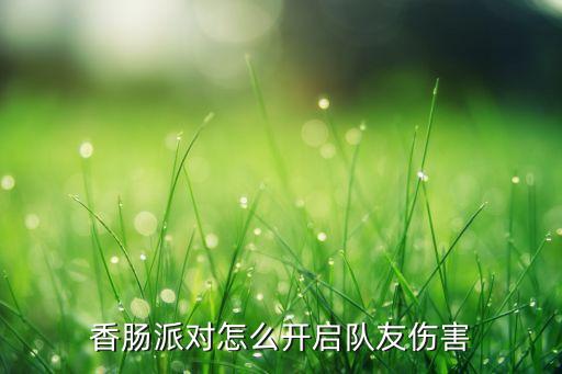 香腸派對(duì)怎樣開科技，香腸派對(duì)怎么開啟隊(duì)友傷害