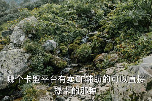 哪個(gè)卡盟平臺(tái)有賣CF輔助的可以直接提卡的那種