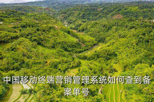 中國移動終端營銷管理系統(tǒng)如何查到備案單號