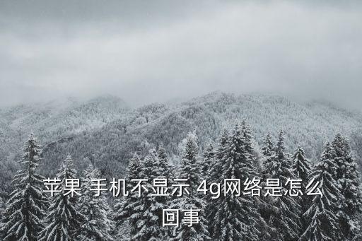  蘋果 手機(jī)不顯示 4g網(wǎng)絡(luò)是怎么回事