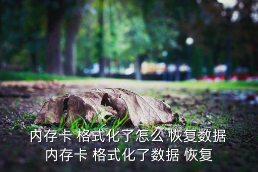  內(nèi)存卡 格式化了怎么 恢復(fù)數(shù)據(jù) 內(nèi)存卡 格式化了數(shù)據(jù) 恢復(fù)