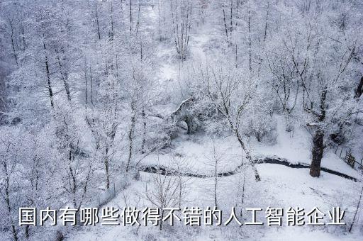 國內(nèi)十大人工智能公司2021，國內(nèi)都哪些比較牛的人工智能公司
