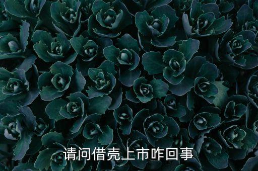 請問借殼上市咋回事