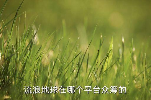 流浪地球在哪個(gè)平臺(tái)眾籌的