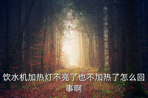浪木飲水機(jī)不加熱是什么原因，浪木飲水機(jī)開(kāi)電源后只亮保溫?zé)舨患訜崃耸窃趺椿厥? /></a><a href=