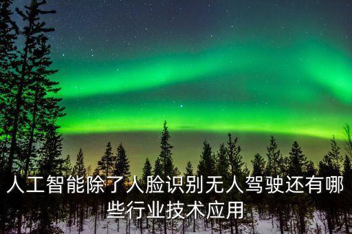 人工智能除了人臉識(shí)別無(wú)人駕駛還有哪些行業(yè)技術(shù)應(yīng)用