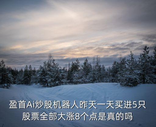 盈首Ai炒股機器人昨天一天買進5只股票全部大漲8個點是真的嗎