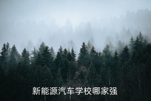 新能源汽車學(xué)校哪家強(qiáng)