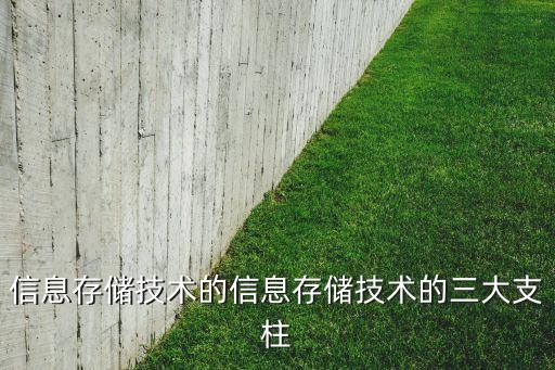 信息存儲(chǔ)技術(shù)的信息存儲(chǔ)技術(shù)的三大支柱