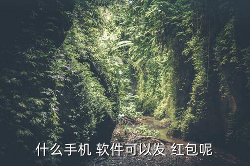 什么手機 軟件可以發(fā) 紅包呢