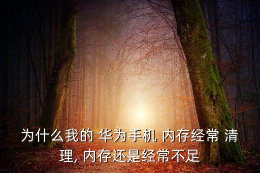 華為鎖屏自動(dòng)清理內(nèi)存,手機(jī)應(yīng)用緩存怎么辦?