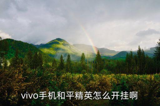 vivo手機(jī)和平精英怎么開(kāi)掛啊