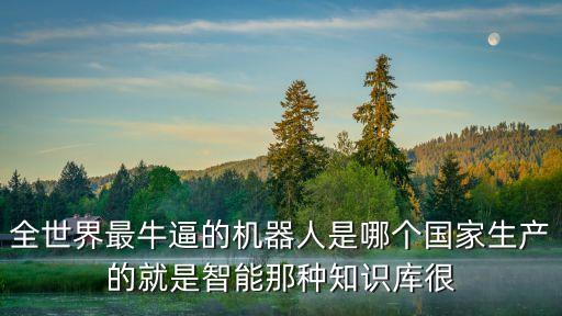 全世界最牛逼的機器人是哪個國家生產(chǎn)的就是智能那種知識庫很