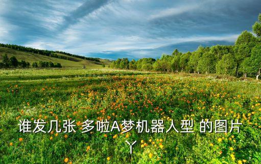 誰(shuí)發(fā)幾張 多啦A夢(mèng)機(jī)器人型 的圖片丫