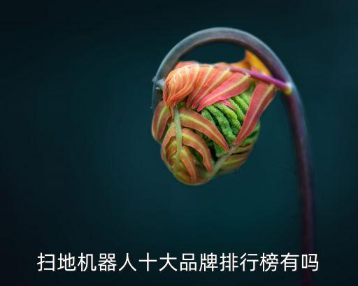 掃地機器人十大品牌排行榜有嗎