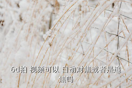 6d拍 視頻可以 自動對焦或者是追焦嗎
