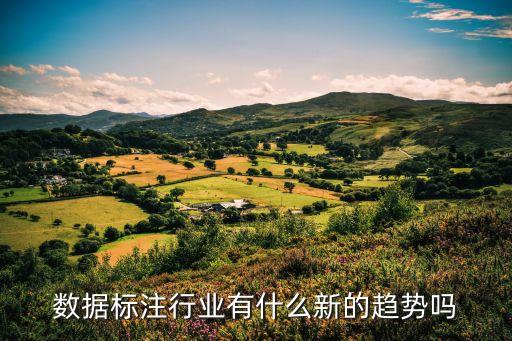 ai人工智能數(shù)據(jù)標(biāo)注行業(yè)介紹，2020年數(shù)據(jù)標(biāo)注行業(yè)會(huì)有什么新趨勢