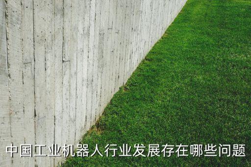 中國(guó)工業(yè)機(jī)器人行業(yè)發(fā)展存在哪些問(wèn)題