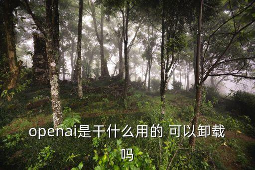 openai是干什么用的 可以卸載嗎