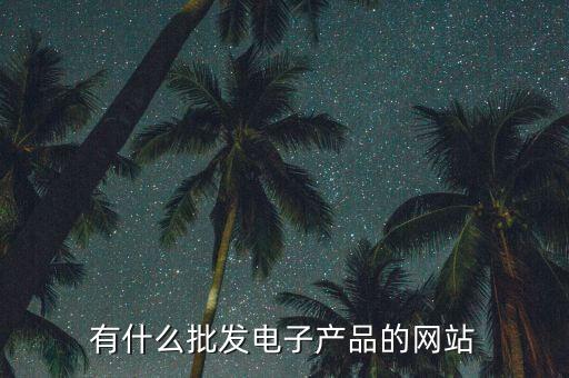 有什么批發(fā)電子產(chǎn)品的網(wǎng)站