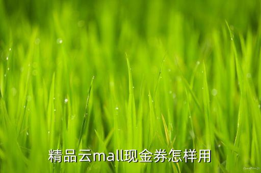 精品云mall現(xiàn)金券怎樣用