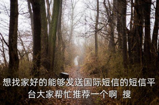 美國短信api平臺，美聯軟通發(fā)送國際短信用什么短信接口