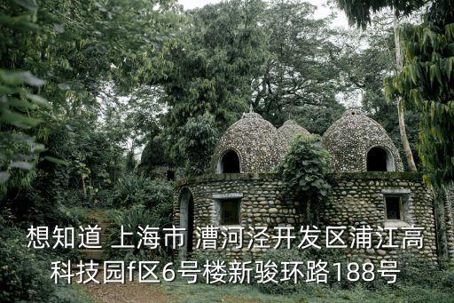 想知道 上海市 漕河涇開(kāi)發(fā)區(qū)浦江高科技園f區(qū)6號(hào)樓新駿環(huán)路188號(hào)