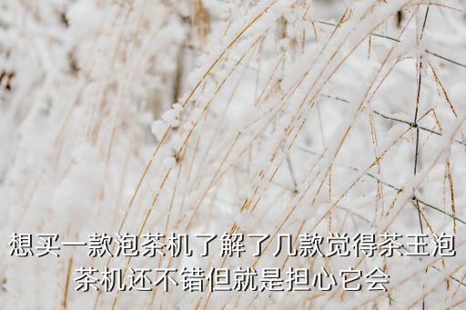 想買一款泡茶機(jī)了解了幾款覺得茶王泡茶機(jī)還不錯(cuò)但就是擔(dān)心它會(huì)