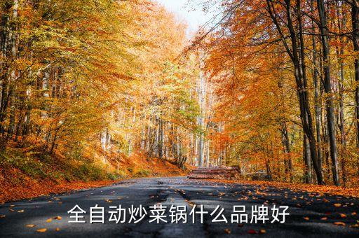 全自動炒菜鍋什么品牌好