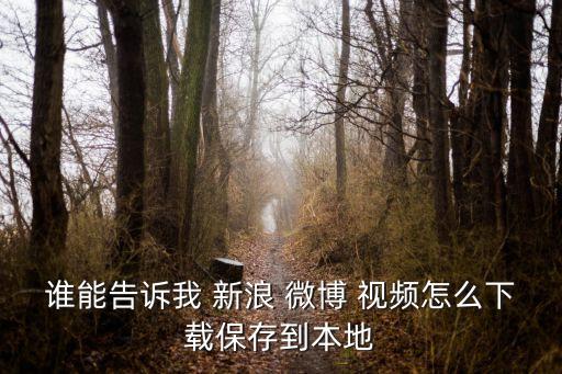 新浪微博自動放視頻,新浪微博on視頻點擊進入瀏覽器