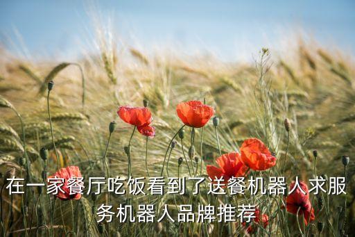 在一家餐廳吃飯看到了送餐機器人求服務機器人品牌推薦