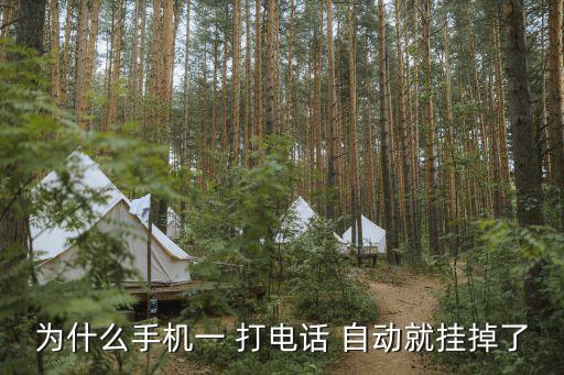 為什么手機一 打電話 自動就掛掉了