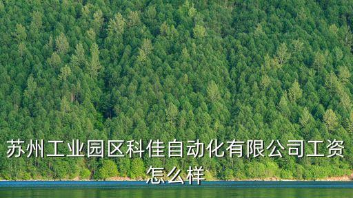 蘇州工業(yè)園區(qū)科佳自動化有限公司工資怎么樣