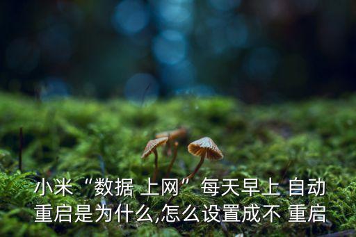  小米“數(shù)據(jù) 上網(wǎng)”每天早上 自動(dòng) 重啟是為什么,怎么設(shè)置成不 重啟