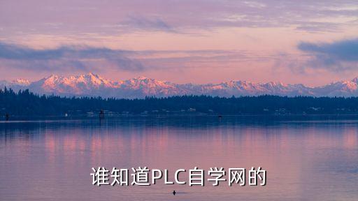 PLC自學(xué)網(wǎng)，誰知道PLC自學(xué)網(wǎng)的