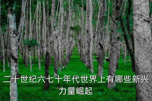 黑科技崛起，二十世紀(jì)六七十年代世界上有哪些新興力量崛起