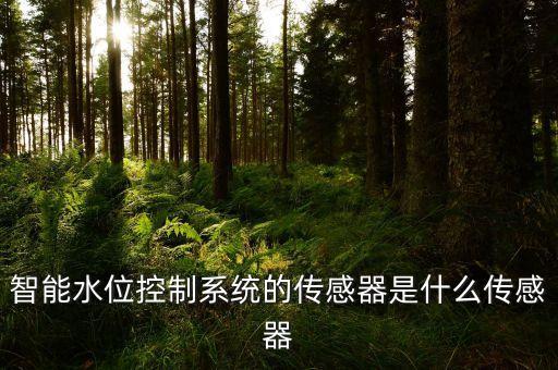 智能水位控制系統(tǒng)的傳感器是什么傳感器