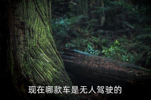全自動(dòng)無人駕駛汽車有哪幾款，現(xiàn)在哪款車是無人駕駛的