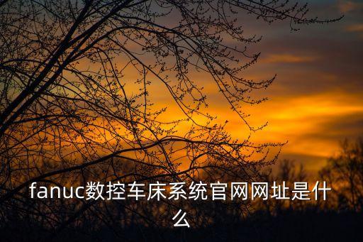 fanuc數控車床系統官網網址是什么