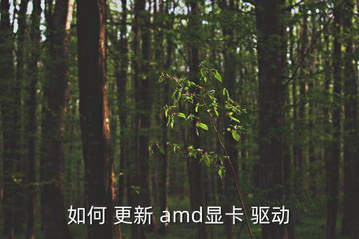 如何 更新 amd顯卡 驅(qū)動(dòng)