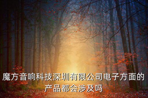 魔方音響科技深圳有限公司電子方面的產(chǎn)品都會(huì)涉及嗎