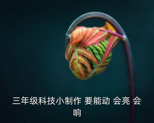 3年級科技手工制作，三年級科技小制作 要能動 會亮 會響