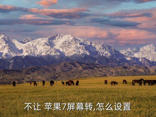 不讓 蘋(píng)果7屏幕轉(zhuǎn),怎么設(shè)置
